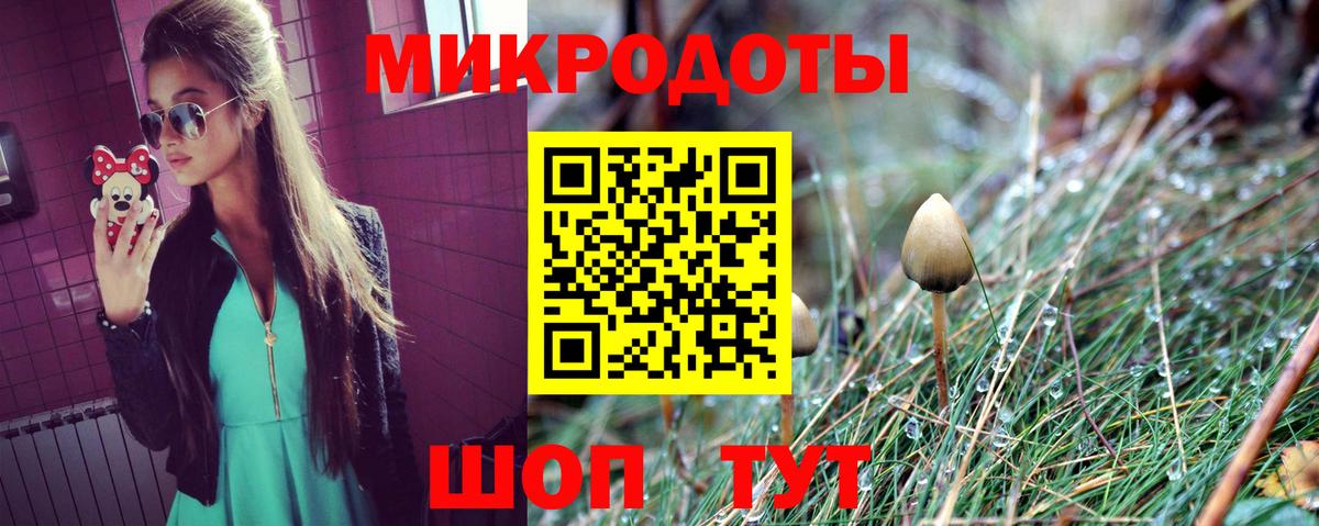 Псилоцибиновые грибы Cubensis  Вход с VPN  Нерюнгри 