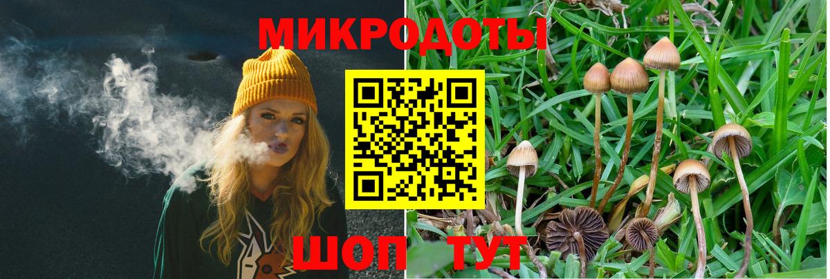 Псилоцибиновые грибы GOLDEN TEACHER Нерюнгри